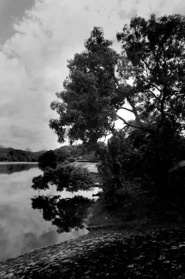 Untitled_3