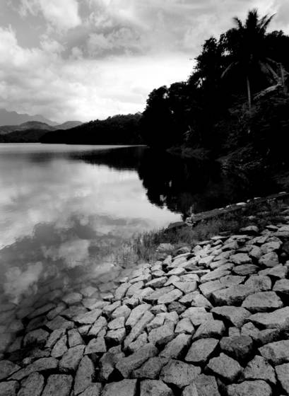 Untitled_4