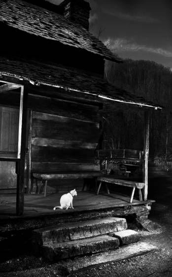 Remnant_cherokee