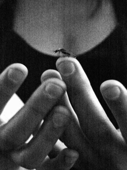Catching_the_light