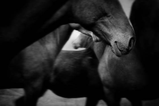 Untitled_12
