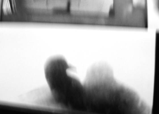Untitled_1