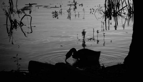 Chiusi_de_lago