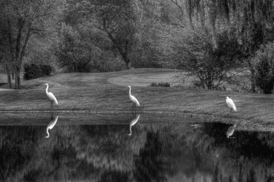 Guardians_of_the_lake