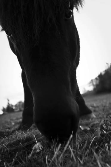 Untitled_1