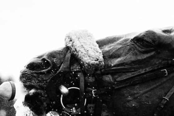 After_the_race