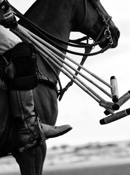 Pologame