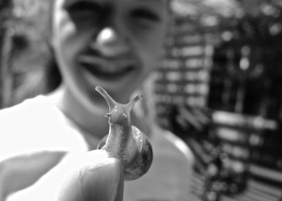 Alex_and_the_snail