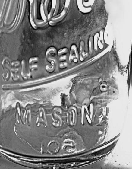 Frog_in_a_mason_jar