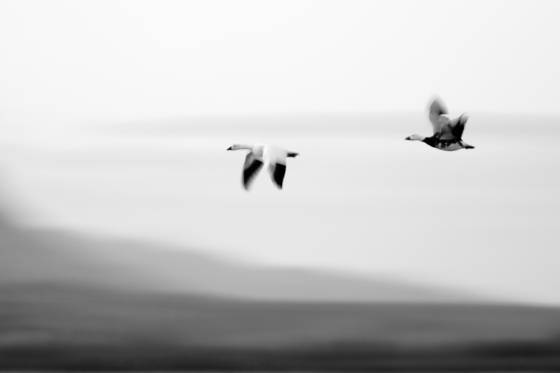 Untitled_5