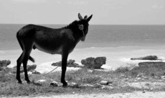 Seaside_3