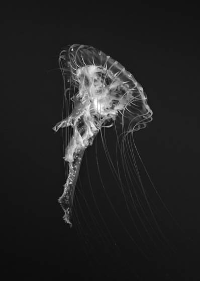 Dance_02