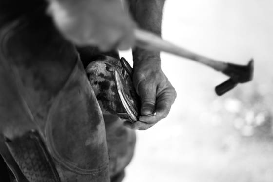 Farrier_5