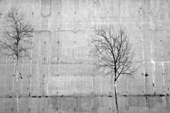 Urban_landscape