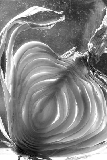Onion_slice