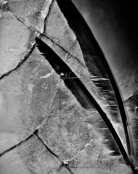 Untitled_1