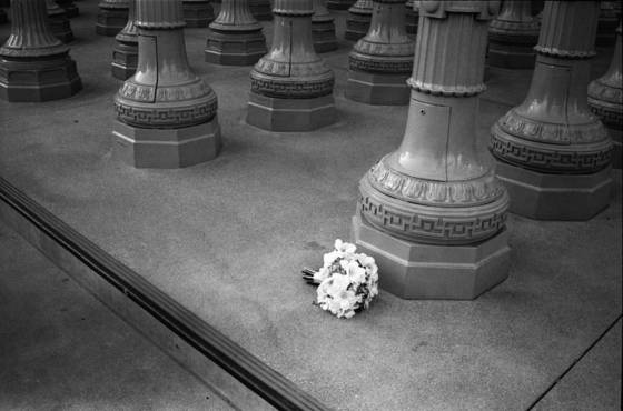 Left_behind