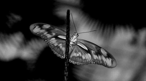 Untitled_10