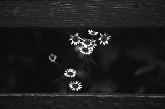 Untitled_5