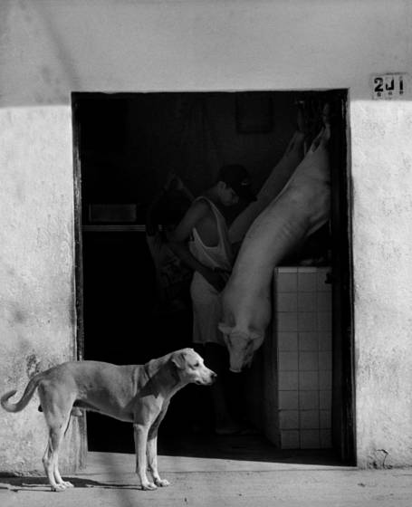 Untitled_2