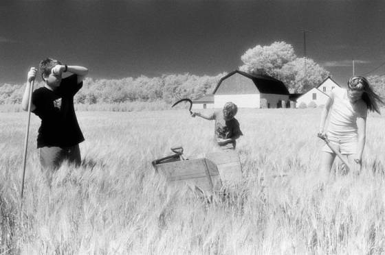 In_the_field