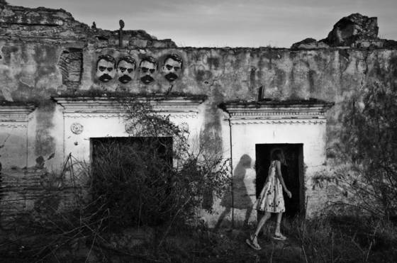 Alice_in_zapata_land