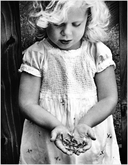 Handful_of_wishes