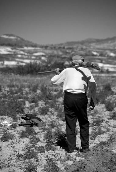 Farmer