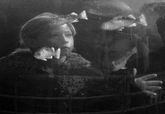 In_the_aquarium__5