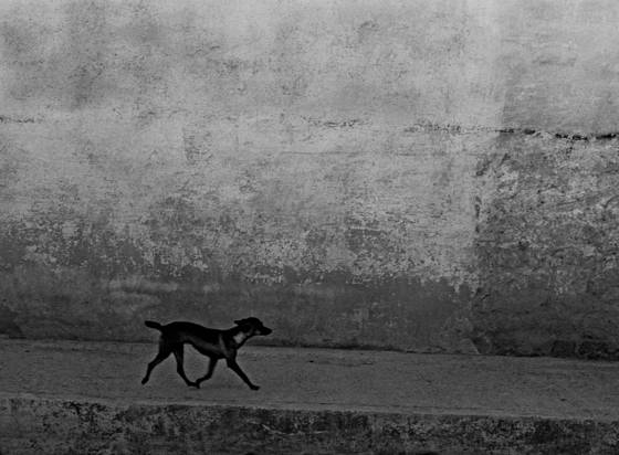 Untitled_4