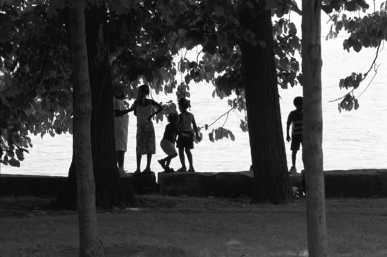 Untitled_1