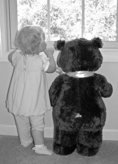 Look_bear