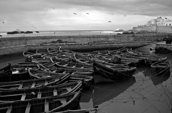 Harbour