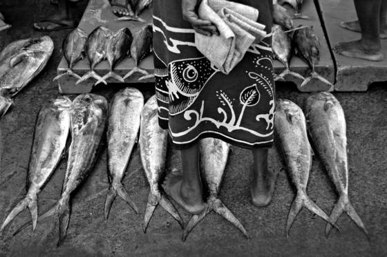 Tuna