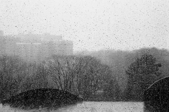 Rainy_window