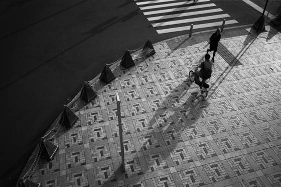 Long_shadows