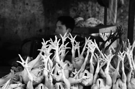 Chicken_seller