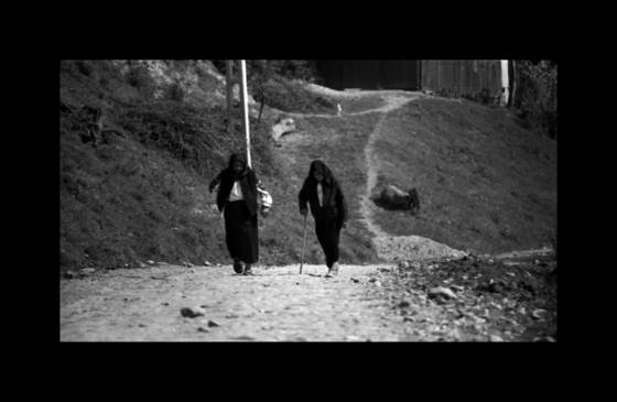 Untitled_14