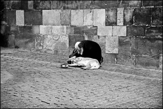 Beggar_under_a_bridge