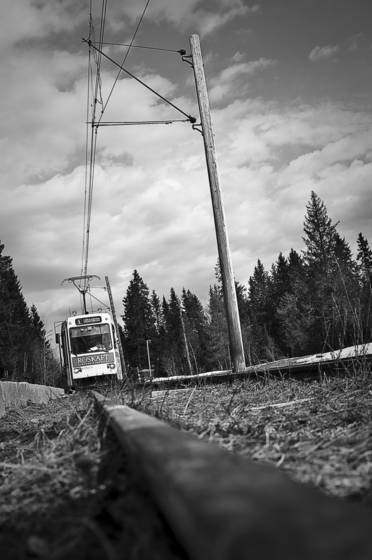 Untitled_5