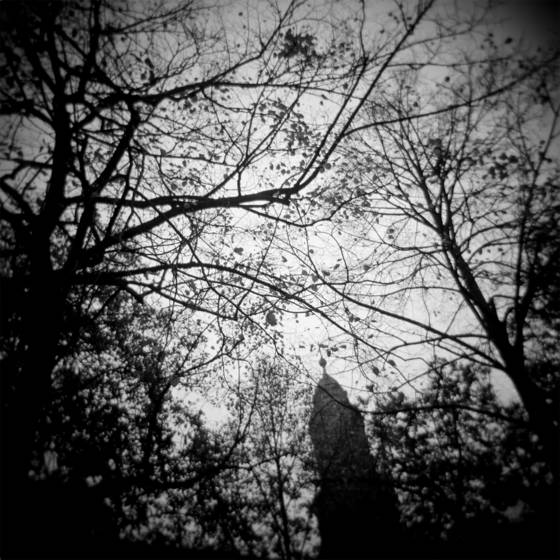 Through_the_trees_i