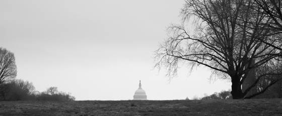 The_capital