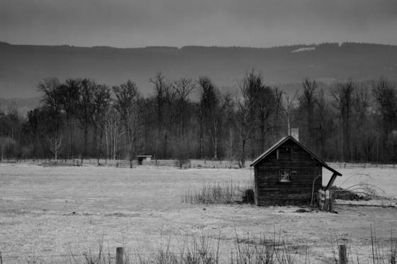 Shack_and_field