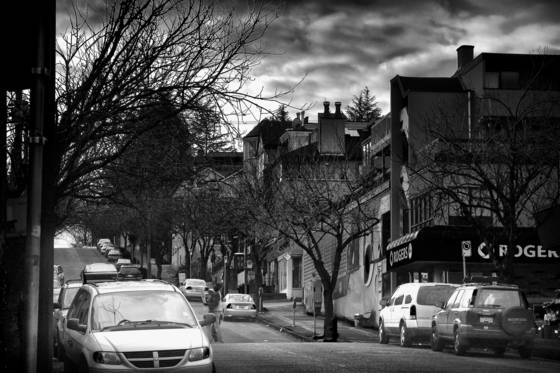Yew_street_winter
