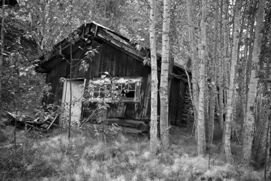 Old_bettles_cabin