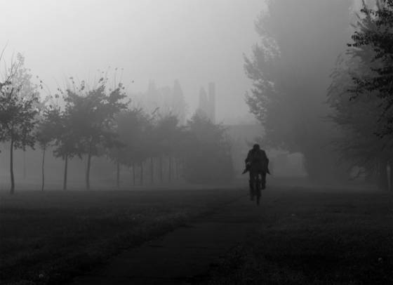 Foggy_morning