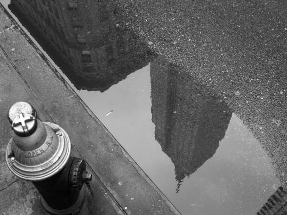 Reflection