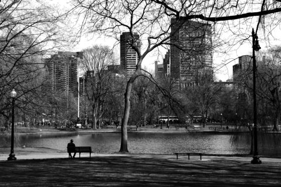 A_peaceful_moment_in_the_commons