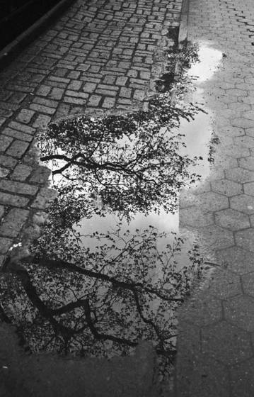 Sidewalk_no_3