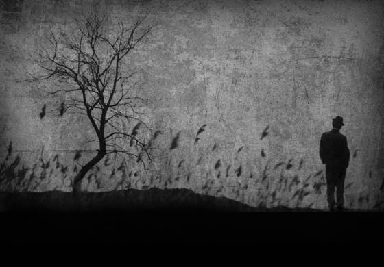 Solitude
